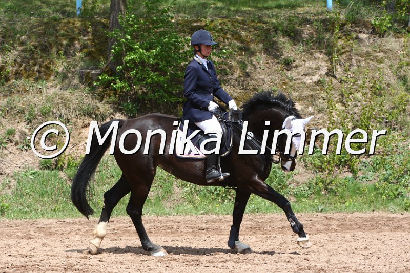 004M2099_Lambada_Punkte L m. Joker.JPG